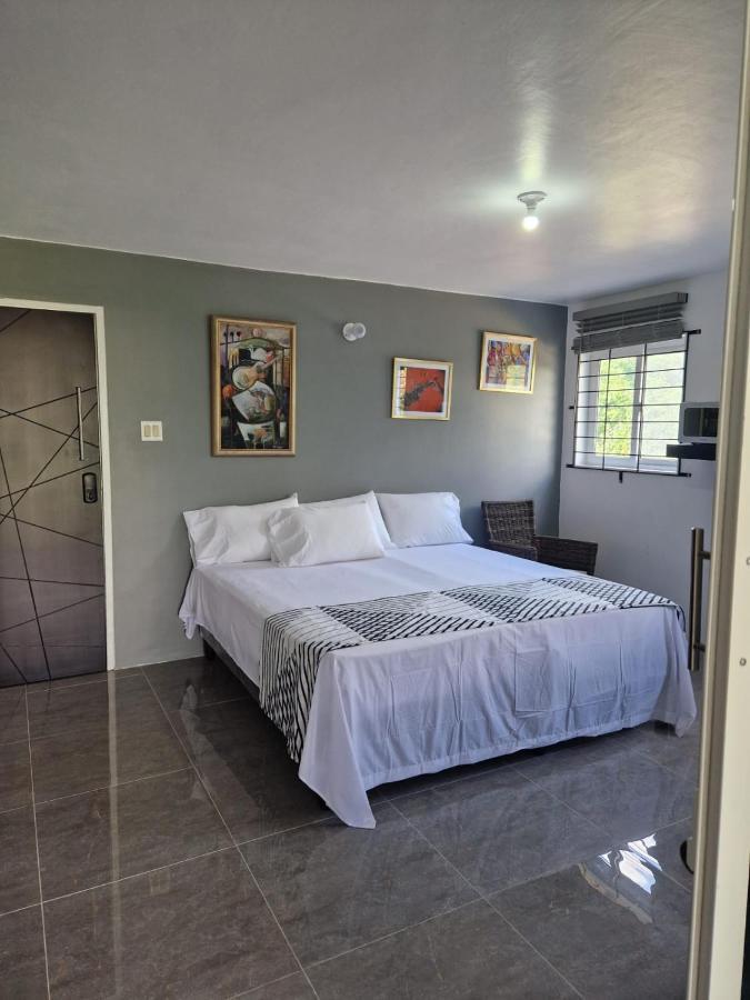 Amharic Hotell Kingston Exteriör bild