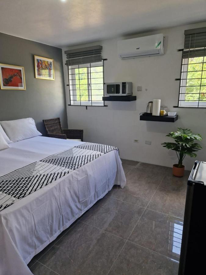 Amharic Hotell Kingston Exteriör bild