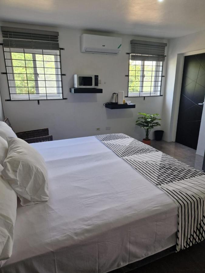Amharic Hotell Kingston Exteriör bild