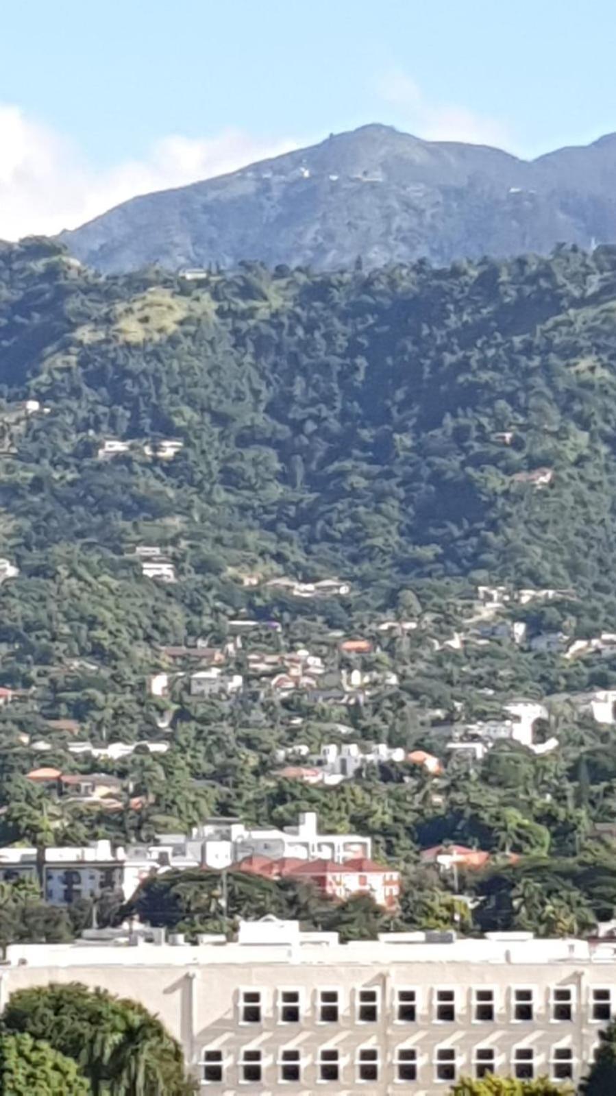Amharic Hotell Kingston Exteriör bild