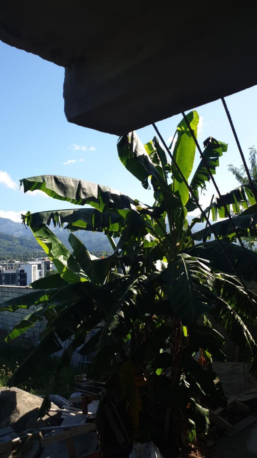 Amharic Hotell Kingston Exteriör bild