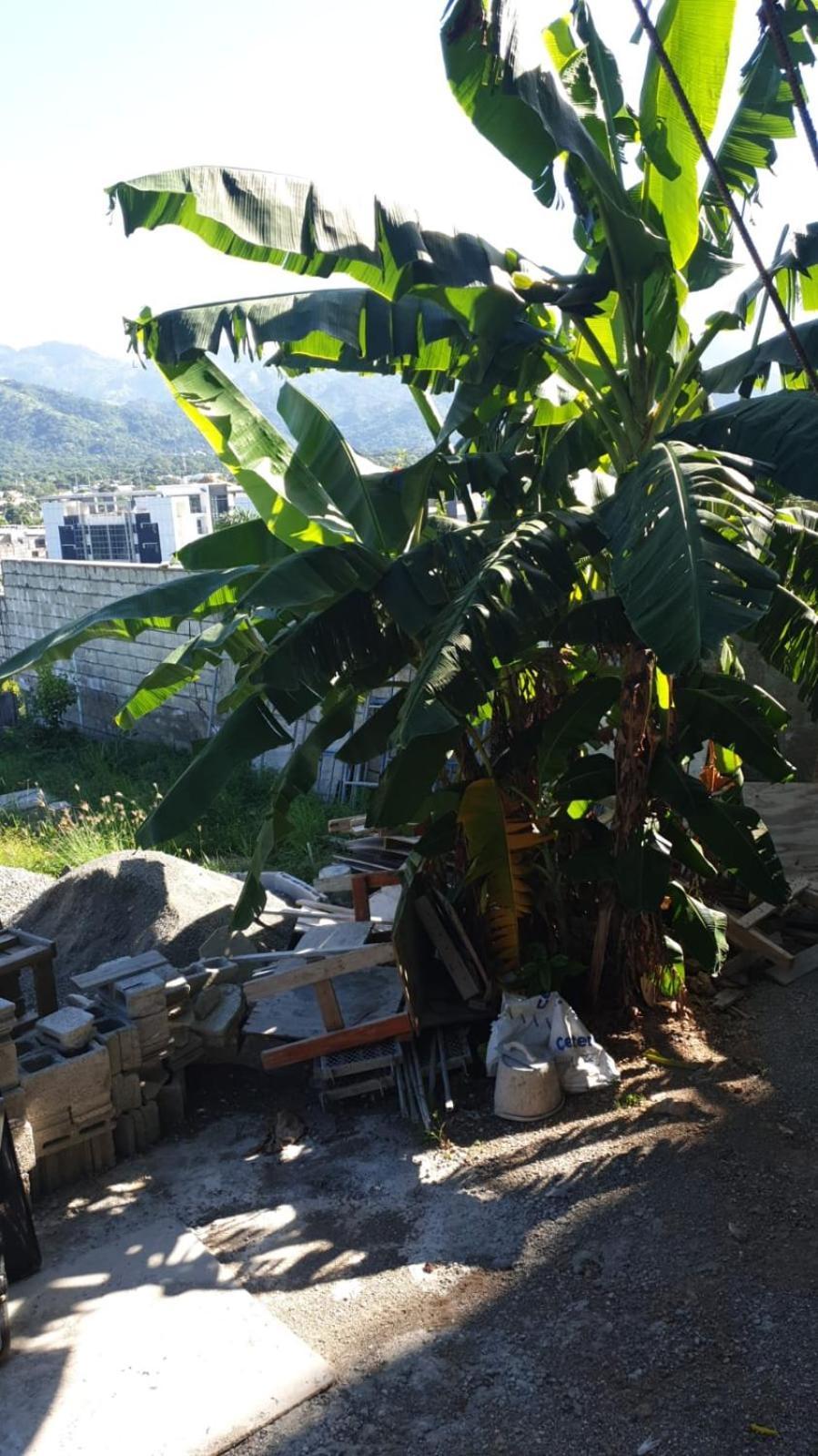 Amharic Hotell Kingston Exteriör bild