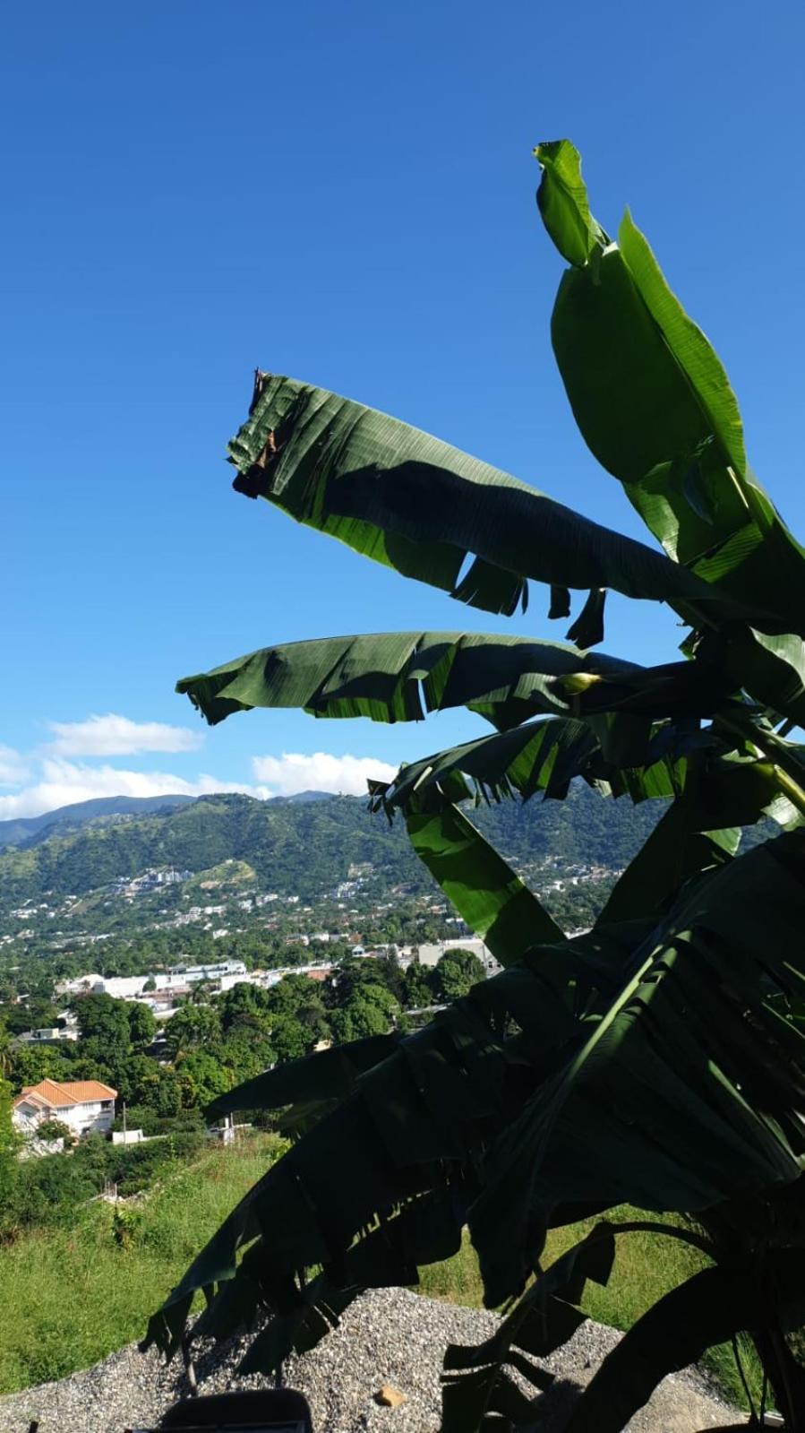 Amharic Hotell Kingston Exteriör bild